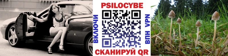 Псилоцибиновые грибы прущие грибы  Купить  Кирсанов 